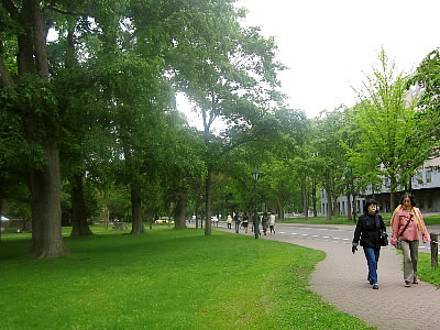 北海道大学|北大|メインストリート