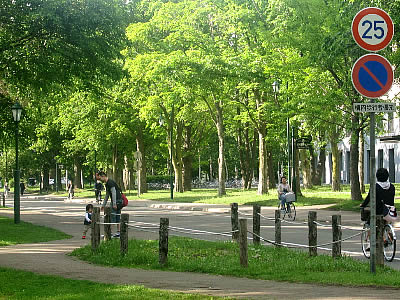 北海道大学|北大|メインストリート