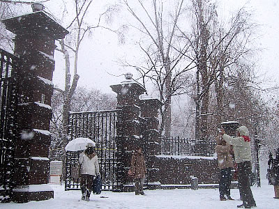 道庁前|写真