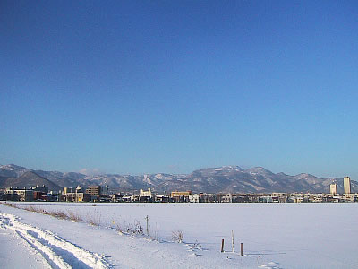北海道大学第一農場|写真