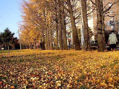 札幌|中島公園|写真