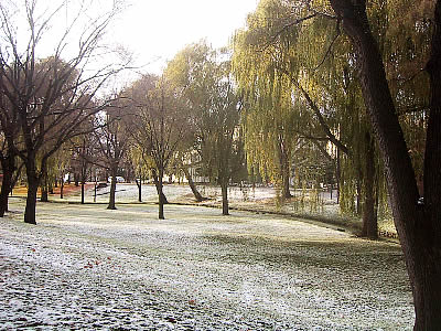 北海道大学|中央ローン|写真