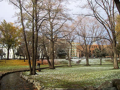 北海道大学|中央ローン|写真