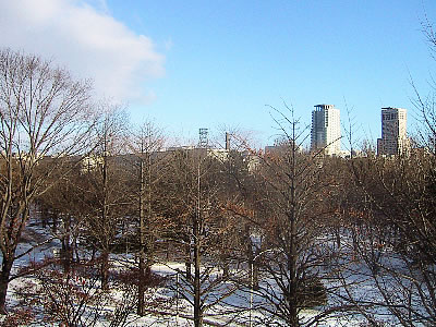 札幌|風景|写真