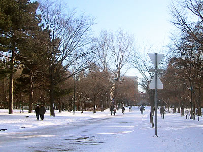 北海道大学|メンスト|写真