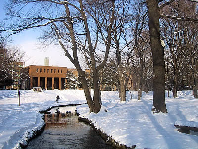 北海道大学|中央ローン|写真