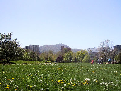札幌|中島公園|写真