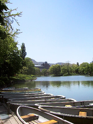 札幌|中島公園|菖蒲池|写真
