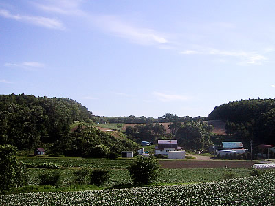 北広島|エルフィンロード