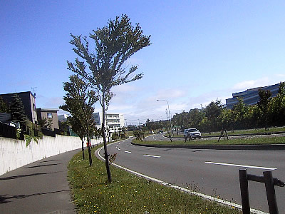 札幌|平岡|厚別中央通