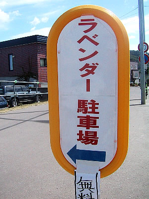 札幌|北海道東海大学|ラベンダー