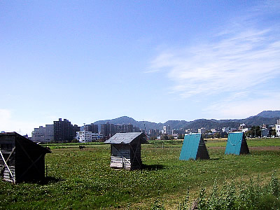 北海道大学|平成ポプラ並木