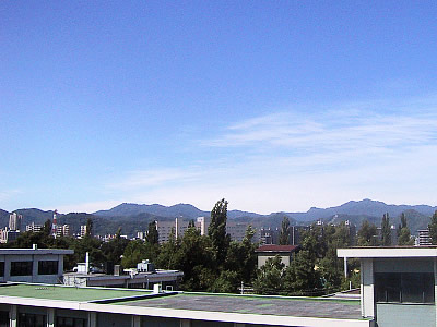 北海道大学|写真