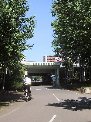 札幌|白石サイクリングロード