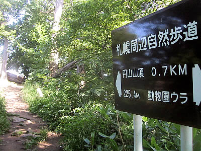 札幌|円山|登山