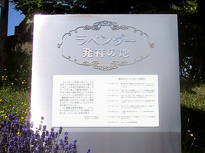 札幌|南沢|ラベンダー発祥の地