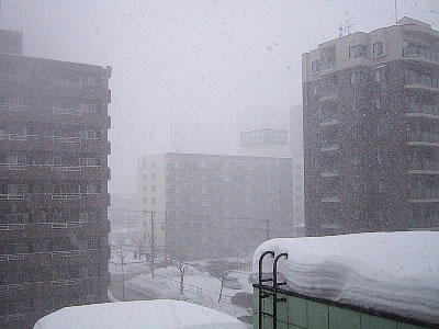 札幌|雪|写真