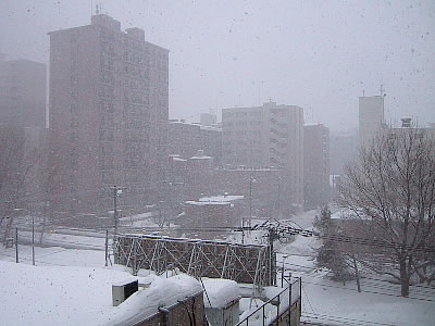 札幌|雪|写真