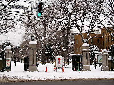 北海道大学正門|写真