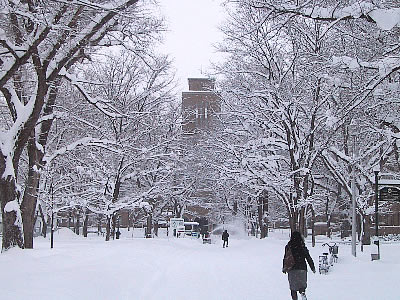 北海道大学|農学部|写真