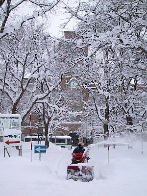 北海道大学|農学部|写真