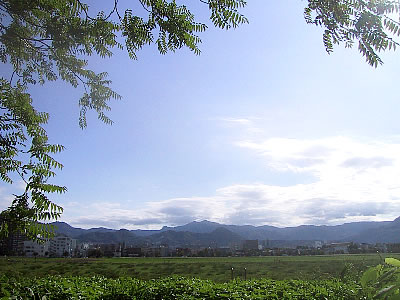 北海道大学第一農場|写真